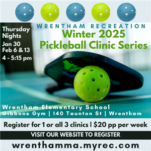 Winter Pickleball Clinic